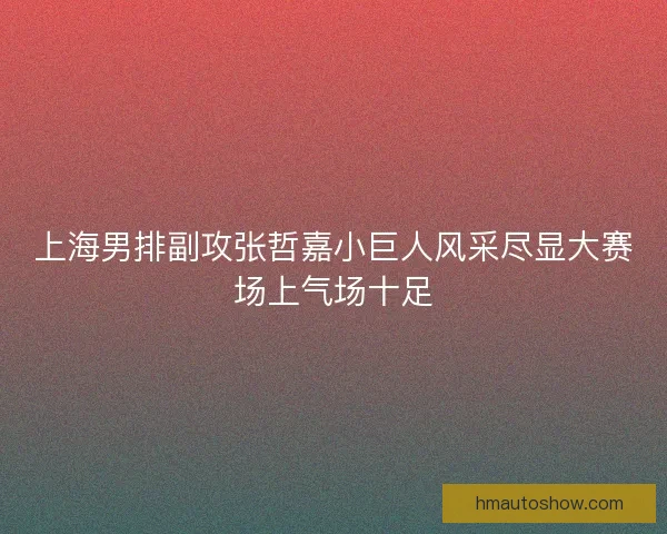 上海男排副攻张哲嘉小巨人风采尽显大赛场上气场十足
